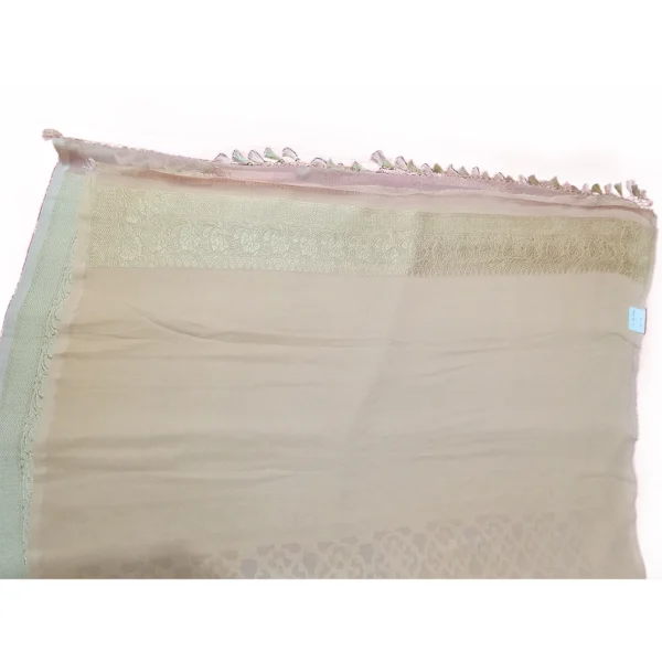 Rangkat banarasi georgette saree - Image 5